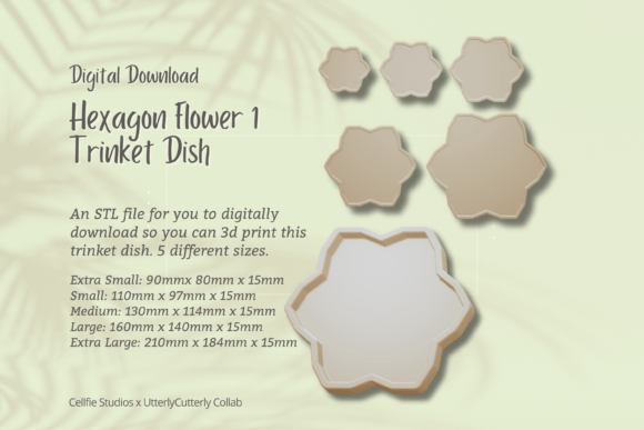 Elegant Hexagon Flower Trinket Dish STL Files